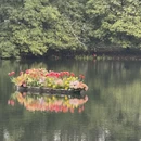 杭州旅游 缩略图 16