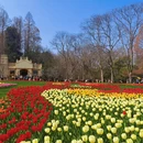 杭州旅游 缩略图 1