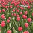 杭州旅游 缩略图 1