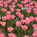 杭州旅游 缩略图 3
