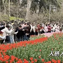 杭州旅游 缩略图 5