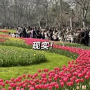 杭州旅游 缩略图 4