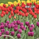 杭州旅游 缩略图 2
