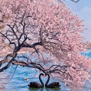 北京旅游 缩略图 3