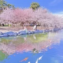 北京旅游 缩略图 1