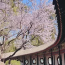 北京旅游 缩略图 5
