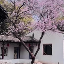 北京旅游 缩略图 7