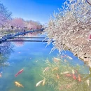 北京旅游 缩略图 2