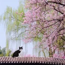 北京旅游 缩略图 6