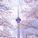 北京旅游 缩略图 9