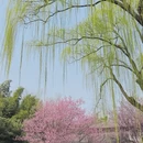 北京旅游 缩略图 8