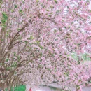 北京旅游 缩略图 13
