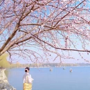 北京旅游 缩略图 12