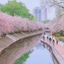 北京旅游 缩略图 14