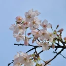 杭州旅游 缩略图 5
