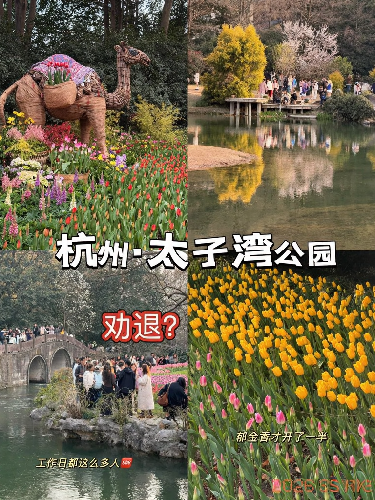 杭州旅游