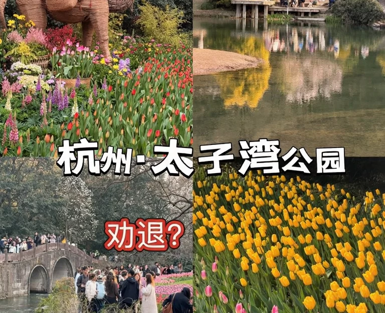 杭州旅游 1