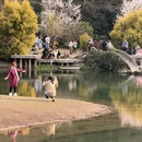 杭州旅游 缩略图 5