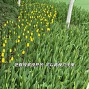 杭州旅游 缩略图 10