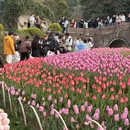 杭州旅游 缩略图 9