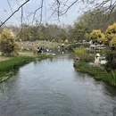 杭州旅游 缩略图 9