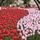 杭州旅游 缩略图 5