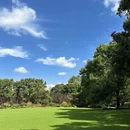 上海旅游 缩略图 7