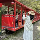上海旅游 缩略图 10