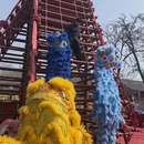 开封旅游 缩略图 15