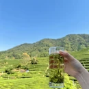 清远旅游 缩略图 4