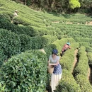 清远旅游 缩略图 3