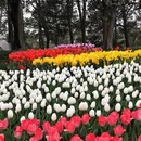 杭州旅游 缩略图 7