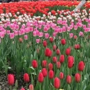 杭州旅游 缩略图 3