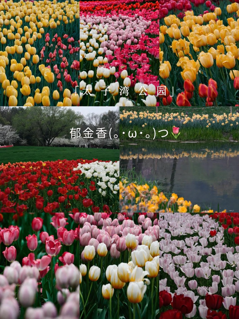 杭州旅游