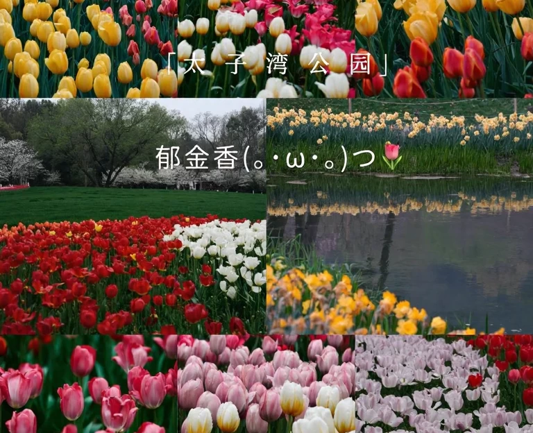 杭州旅游 1