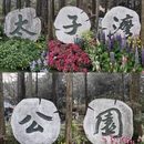 杭州旅游 缩略图 2