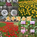 杭州旅游 缩略图 1
