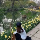 杭州旅游 缩略图 2