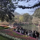 杭州旅游 缩略图 5