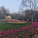 杭州旅游 缩略图 3