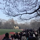 杭州旅游 缩略图 6