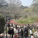 杭州旅游 缩略图 10