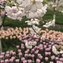 杭州旅游 缩略图 7