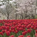 杭州旅游 缩略图 3