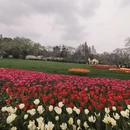 杭州旅游 缩略图 5