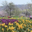 杭州旅游 缩略图 6