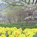 杭州旅游 缩略图 9