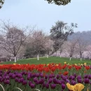 杭州旅游 缩略图 7