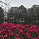 杭州旅游 缩略图 10
