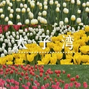 杭州旅游 缩略图 1